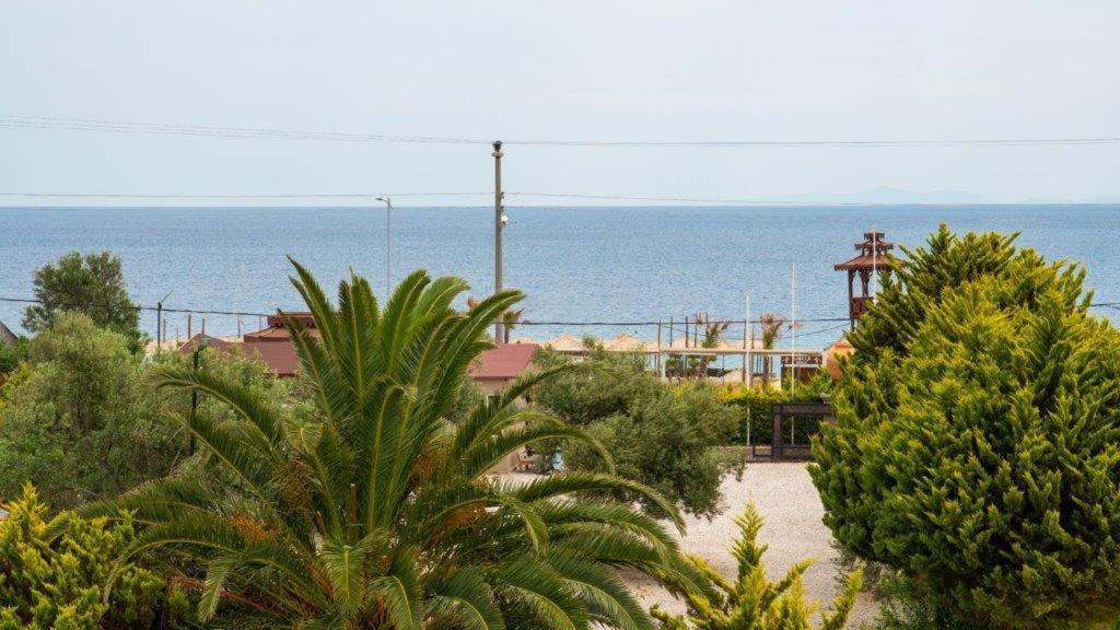Club Kavala Beach Hotel Assos Eksteriør billede